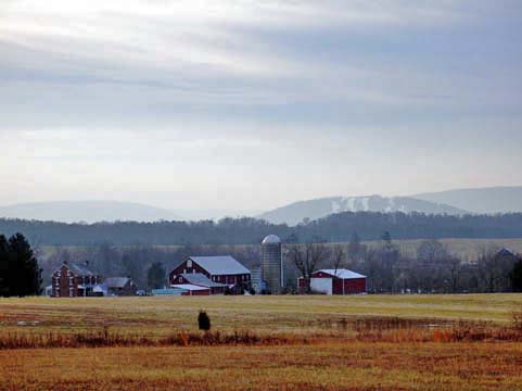 lynda boyd picture lynda boyd picture