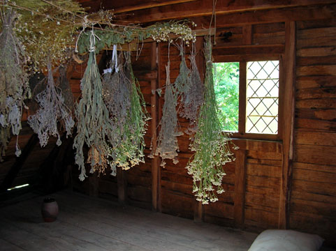 is scented by drying herbs
