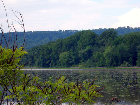 Bonham State Park. for the state park,